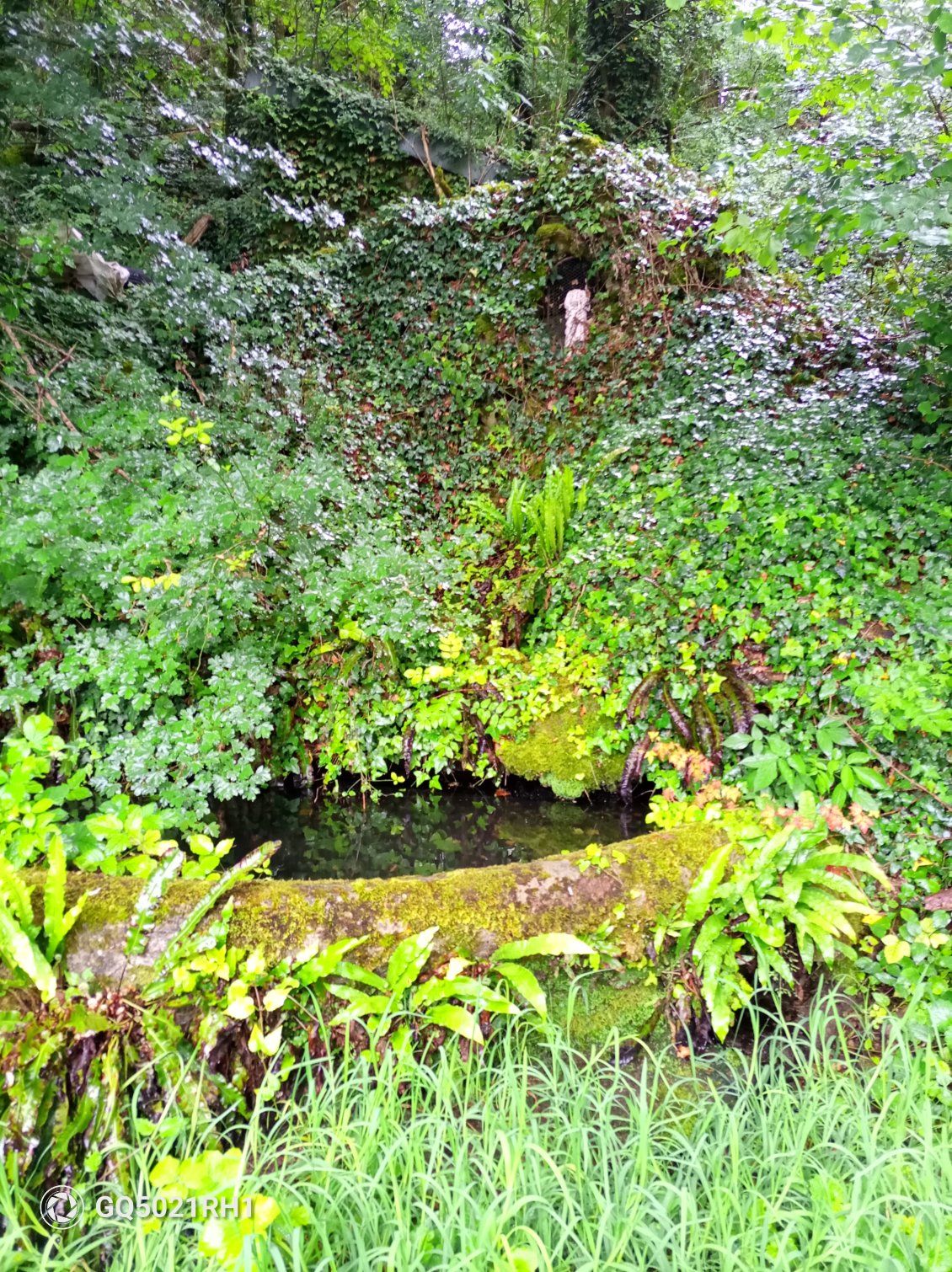 Le chemin n'est pas entretenu et nous découvrons au dernier moment, une petite fontaine et un lavoir ensevelis dans la végétation