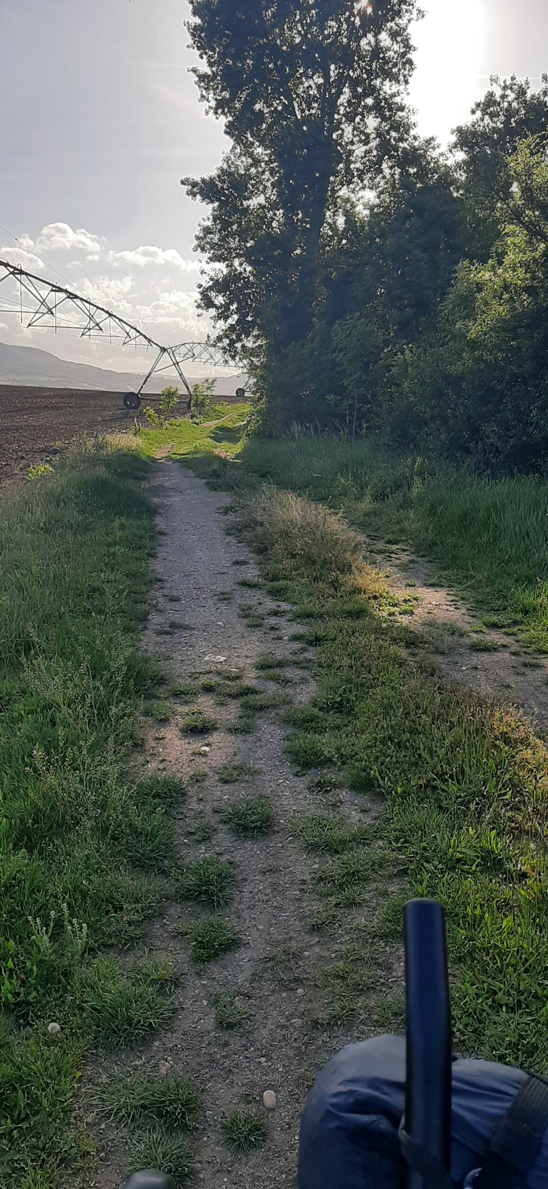Et finalement, j'ai raté un embranchement et c'est devenu vraiment sauvage