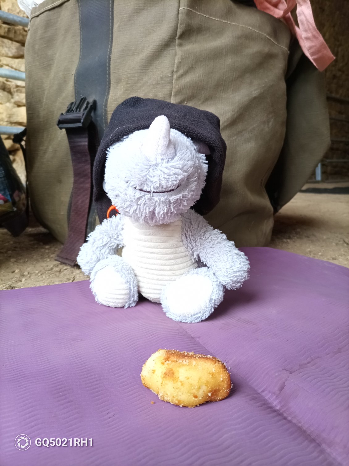 Dina a dû mettre un bonnet pour prendre son petit déj.