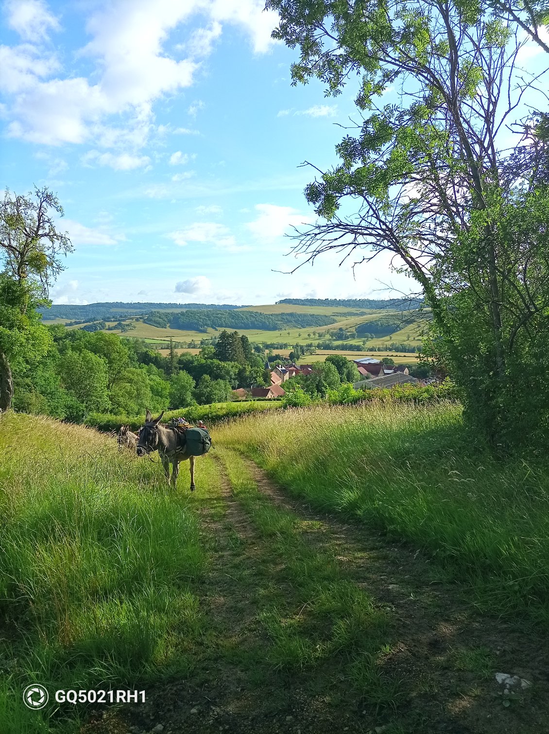 l'Auxois est une région très verte