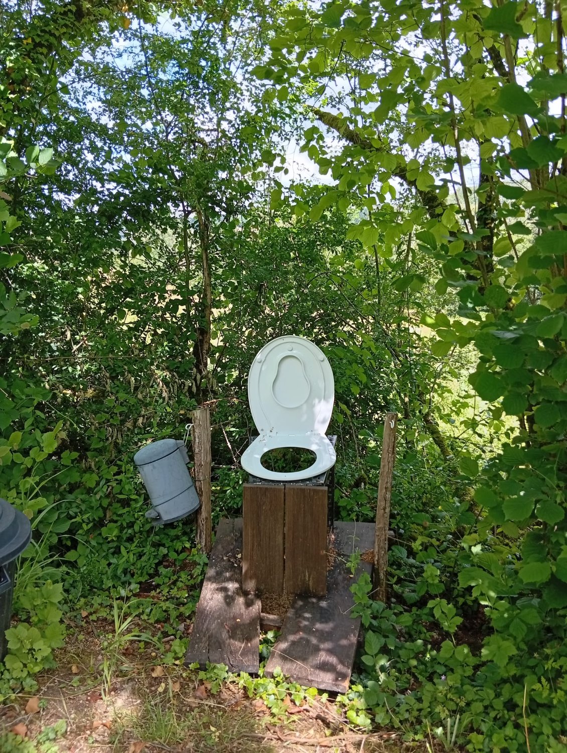 Petit coin des bois