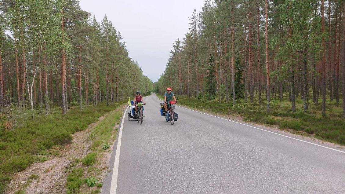 Les routes finlandaises généralement boisées