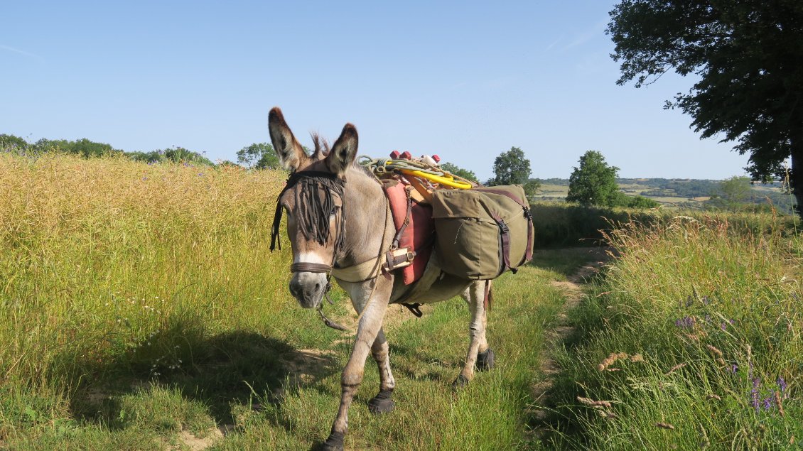Après la journée de repos, Vanille avance d'un pas décidé