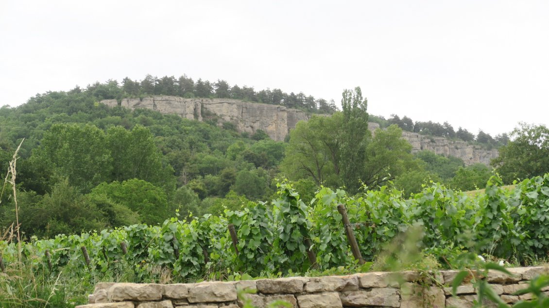 Les falaises de Cormot, un beau spot de grimpe au dessus des vignes