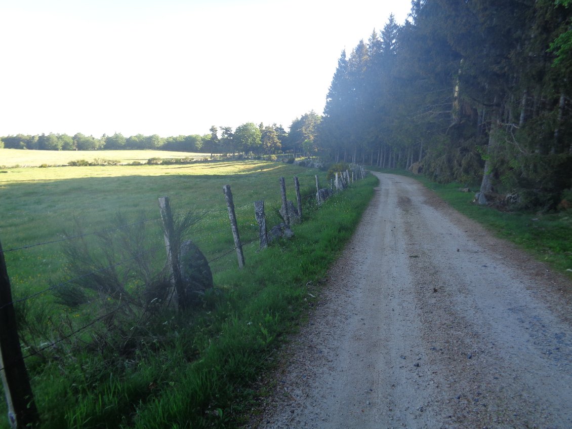 Un chemin roulant en quittant le surpeuplé GR65.