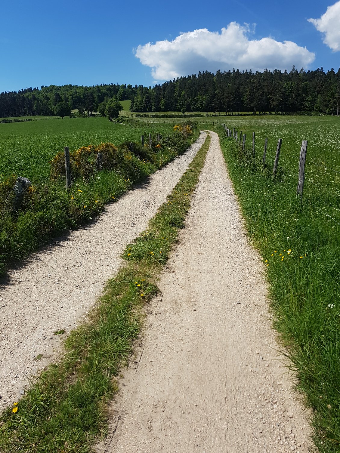 Je quitte enfin le bitume !