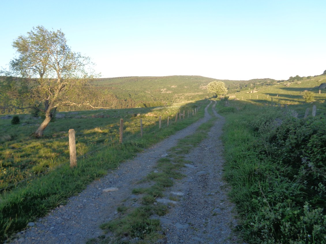 Chemin roulant à la fraîche.