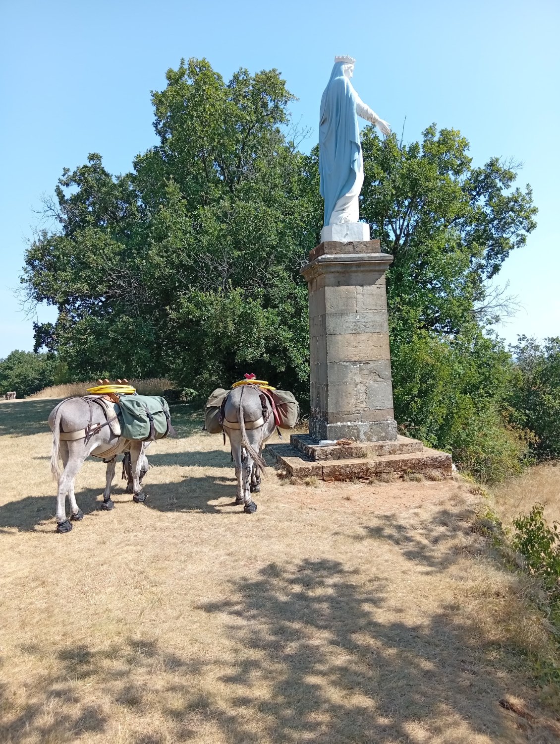 La vierge surveille le pinard et les ânes surveille la vierge