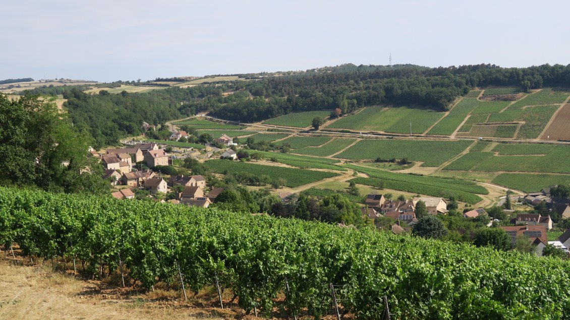 Montagny les Buxy