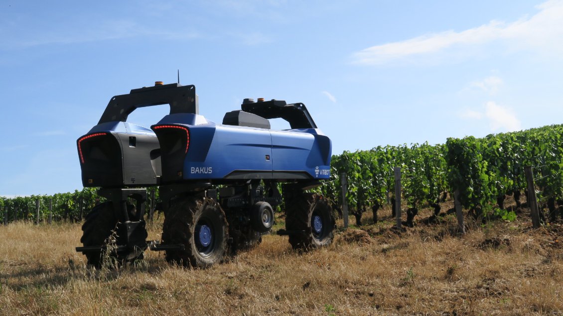 Une rencontre particulière, un robot travaille seul dans les vignes. Il taille et retourne le sol comme un grand.