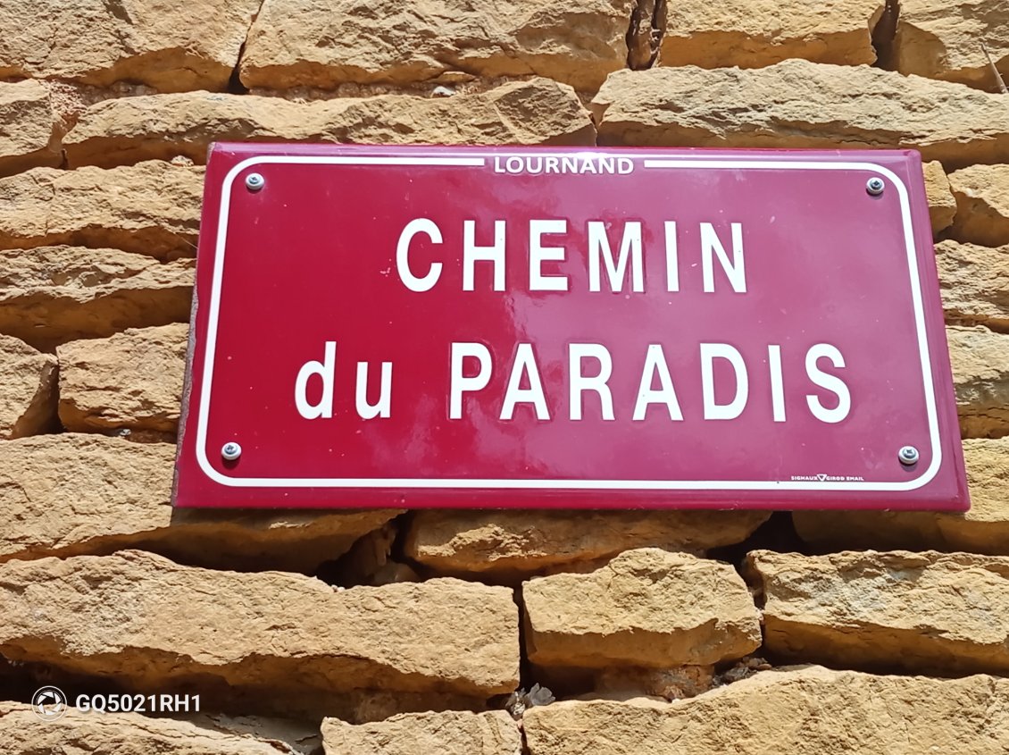 Surprise de coin de mur