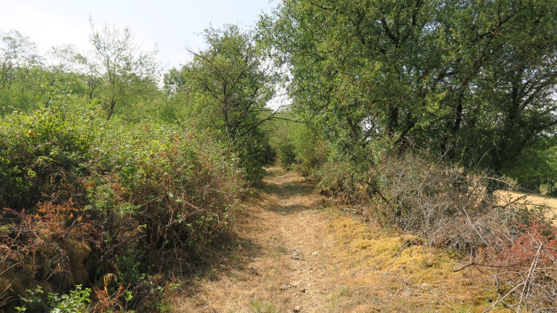 De beaux chemins souvent bordés de buis qui n'ont malheureusement pas résisté à la pyrale