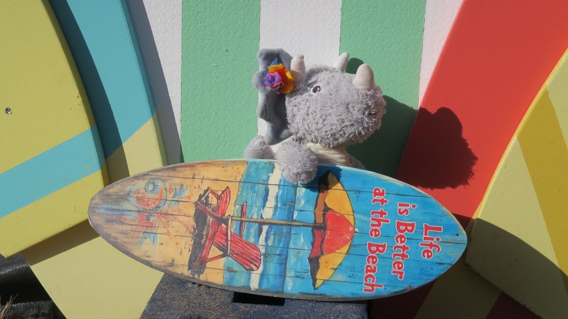 Dina est prête à affronter les vagues. Elle est déjà un peu en vacances cette chipie