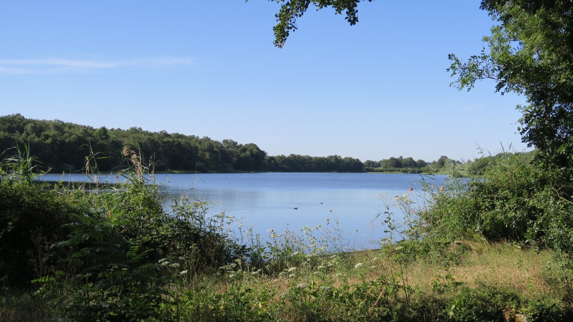 La Dombes, le pays des étangs