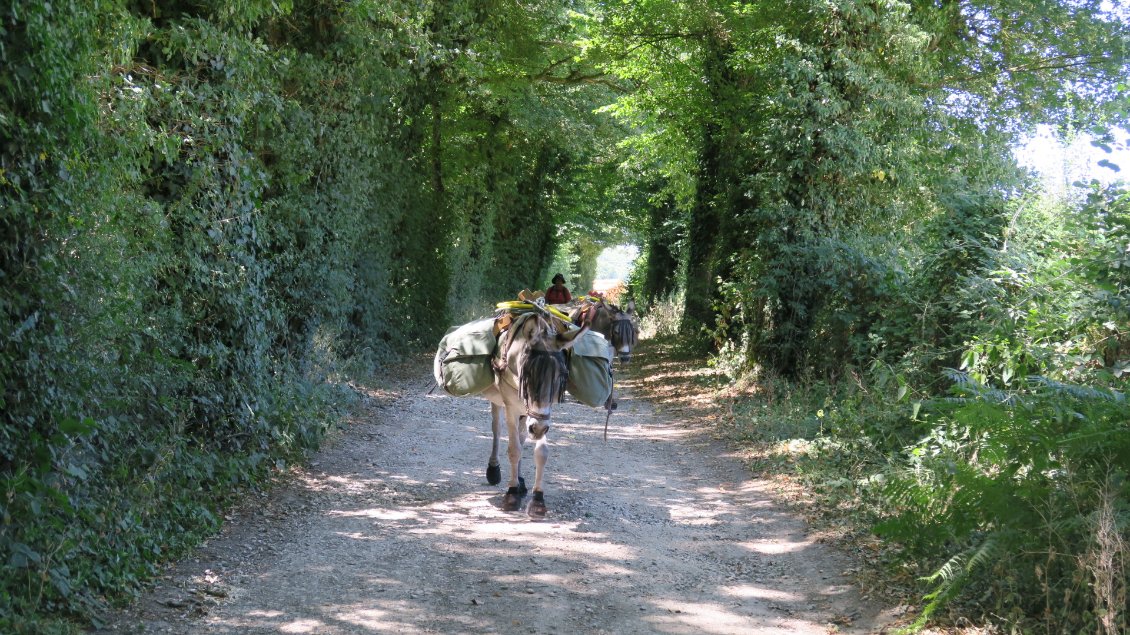 Enfin du gravier dans cette journée très asphaltée