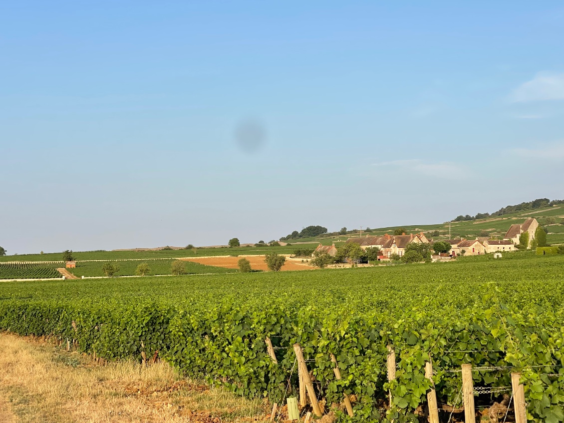 Chassagne-Montrachet