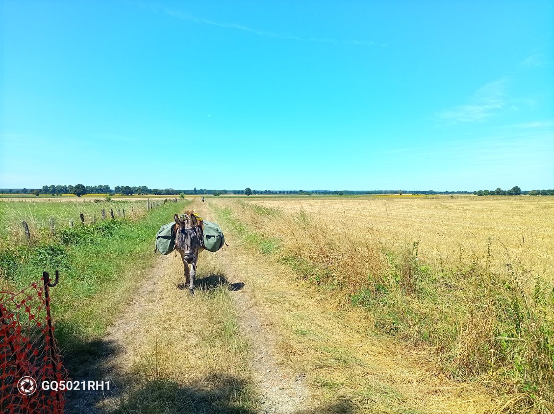 L'arrivée à Saint Martin du Mont se fait sous un soleil de plomb