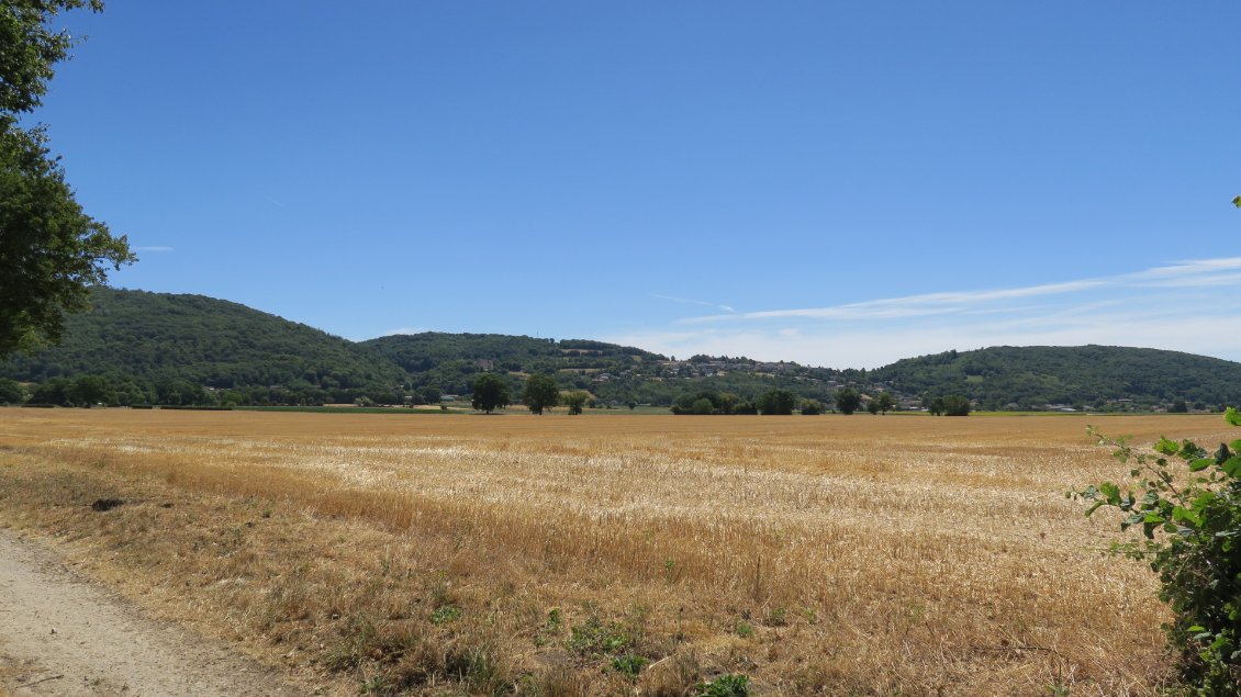 Nous nous approchons des montagnes du Revermont. Il y a quatre jours, elles étaient à l'horizon quand nous les regardions depuis Saint Amour en Beaujolais