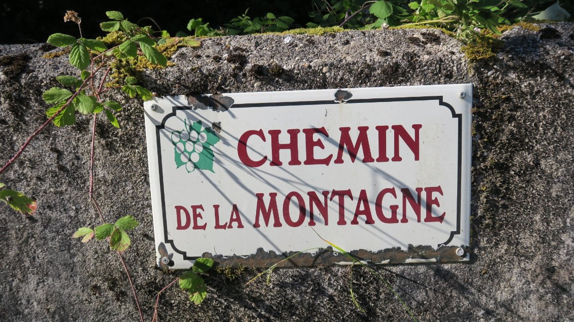 Il porte bien son nom celui-ci