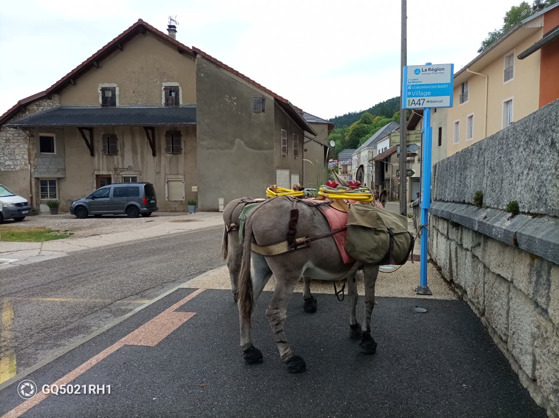 Cormaranche city. Nous croisons un cavalier qui organise une manifestation autour de l'attelage... Et nous invite. Nous sommes en tout début d'étape et nous devons avancer, une prochaine fois
