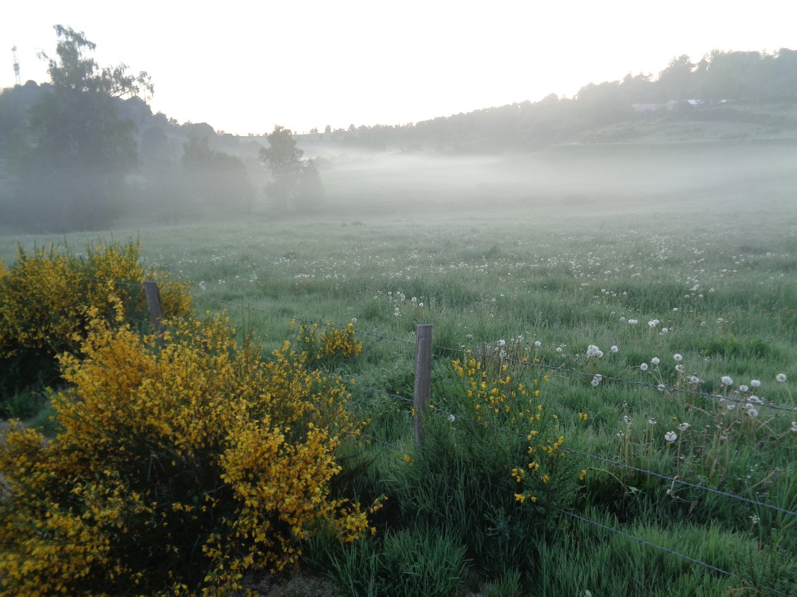 La brume des petits matins, comme j'aime.