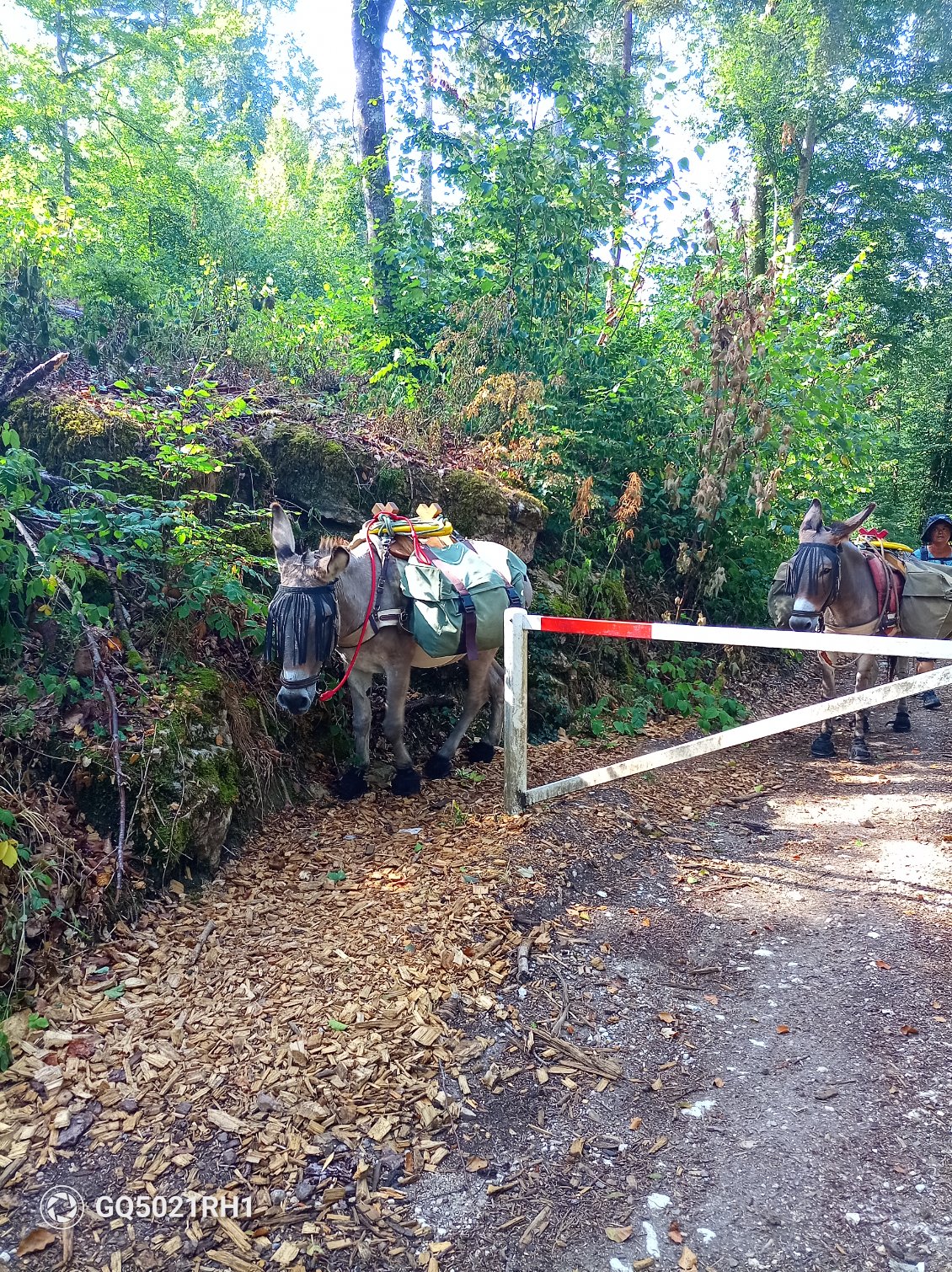 A côté des barrières