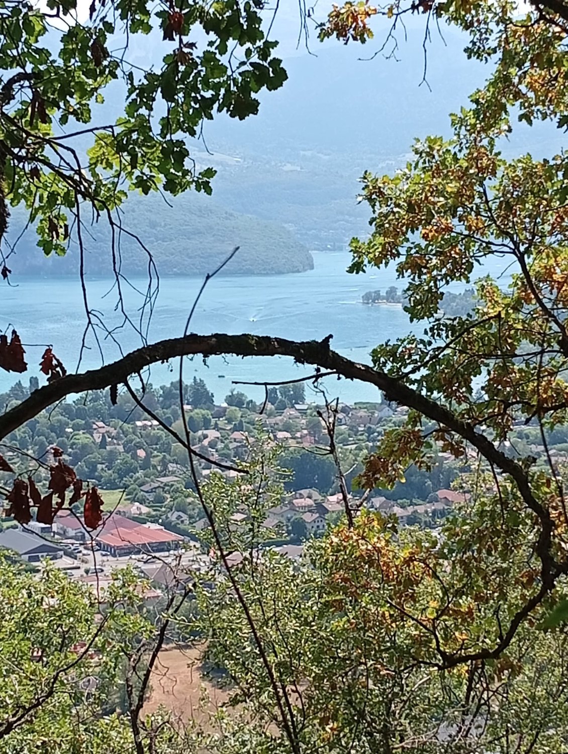 Première apparition du lac au milieu de feuilles