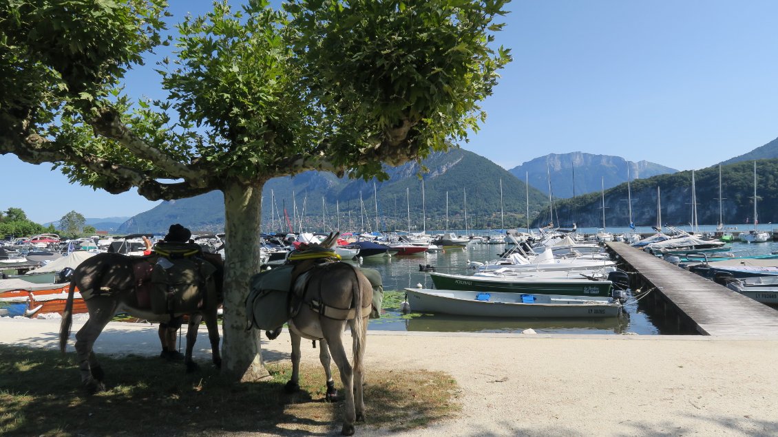 Le port de Saint Jorioz