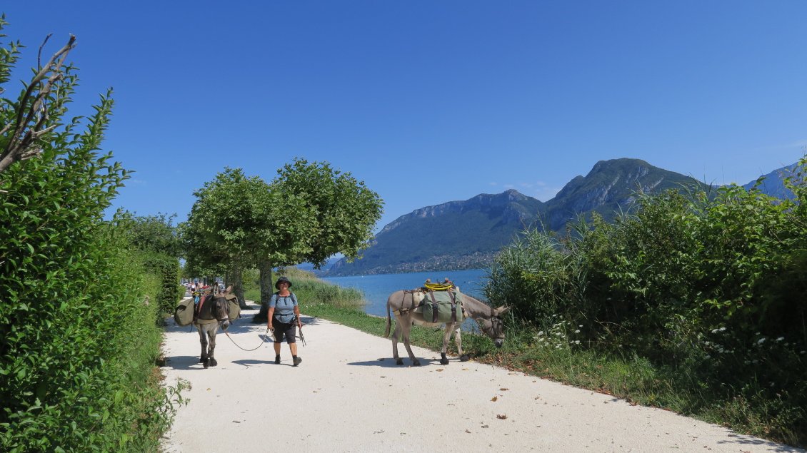 Sur le sentier des roselières