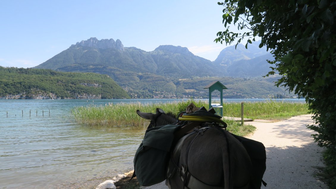 Je ne sais pas à quoi pense Pépito en ce moment. Sent-il l'écurie de l'autre côté de la montagne ?
