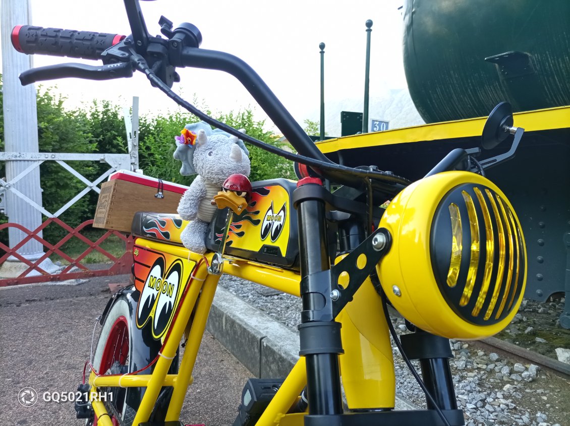 Dina ne résiste pas à faire un tour de vélo
