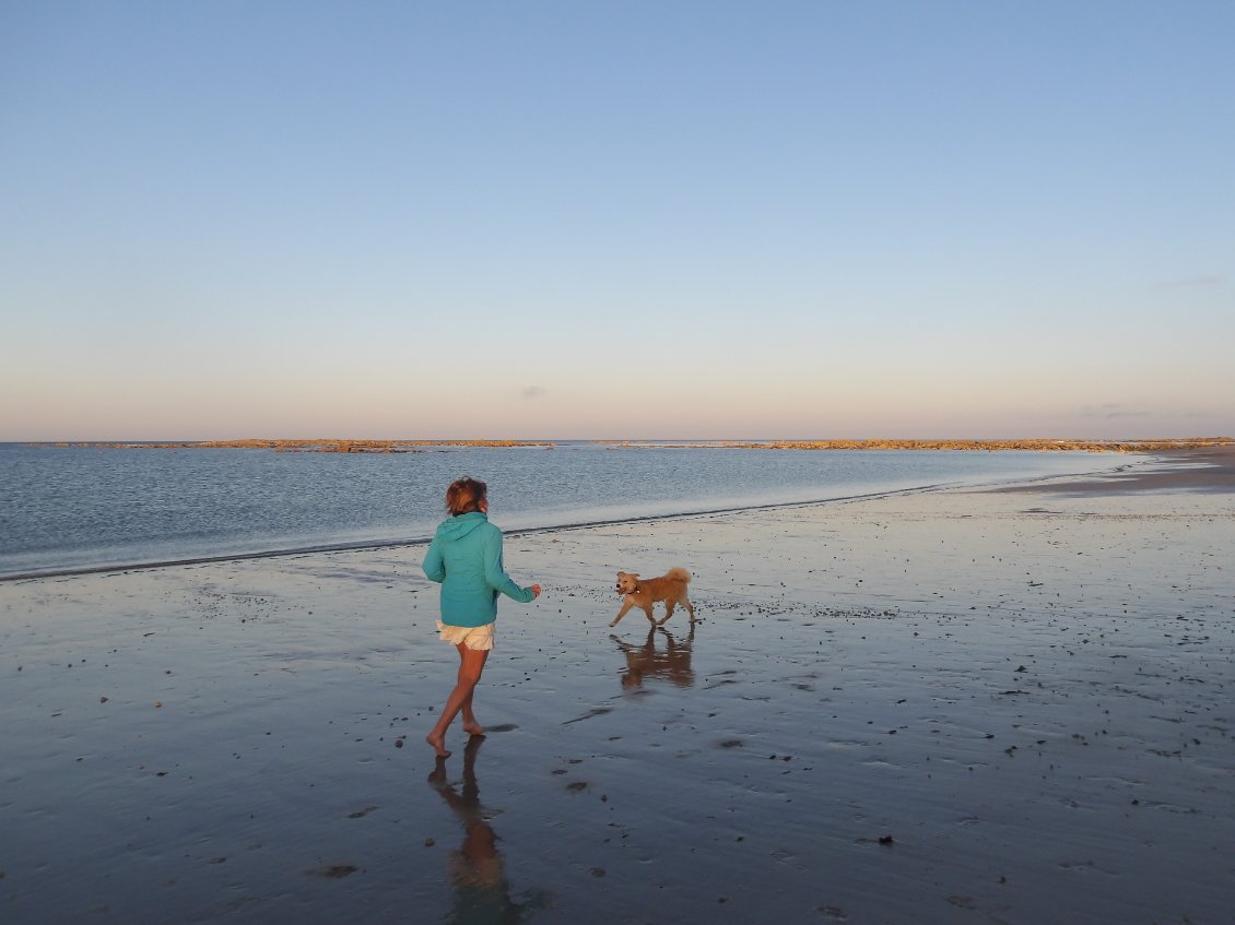Balade du chien du soir