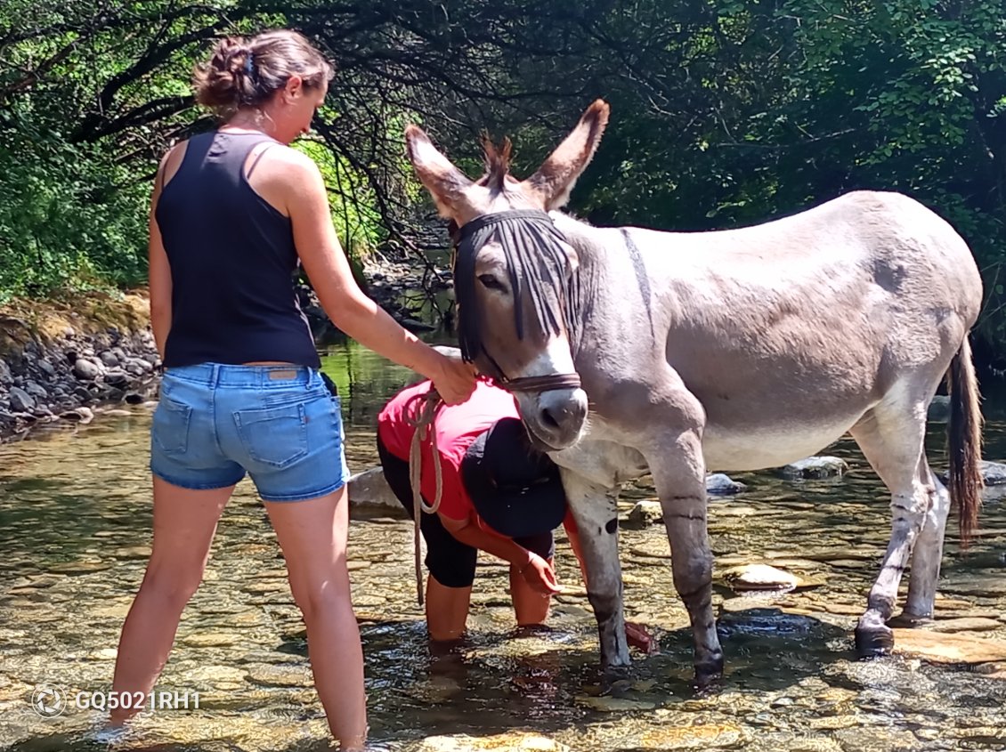 Céline et Carole donne le bain de pied à Vanille dans l'eau fraîche du torrent de la Gliére