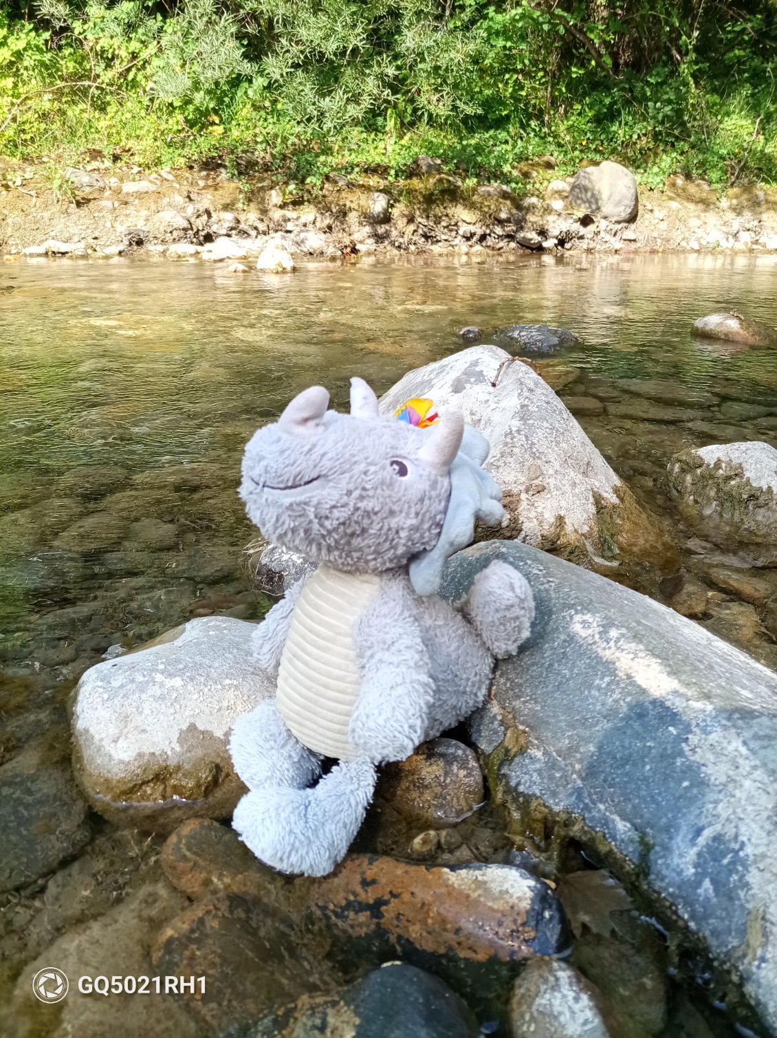 Dina en profite également pour ce tremper les pattes 