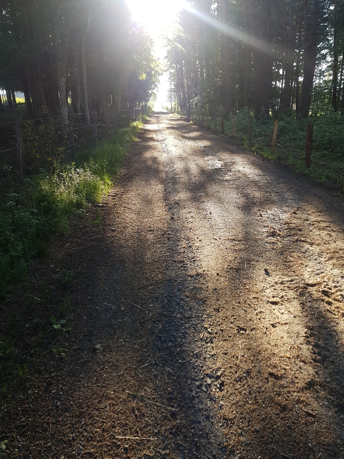 Une chemin qui incite à la rêverie.