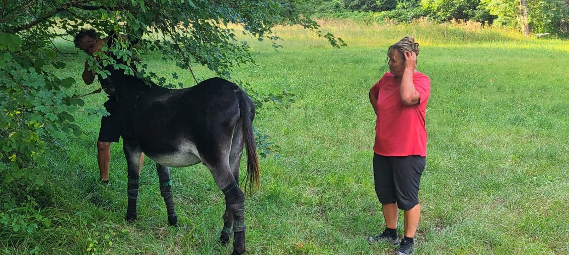 Sonia et Vincent nous font la surprise en amenant Merlin,notre troisième compagnon qui est resté à Serraval en compagnie de leurs ânes
