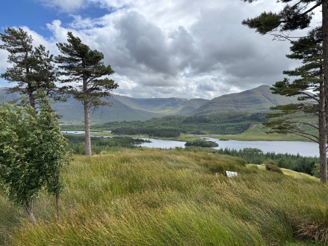 Tawnyard loch