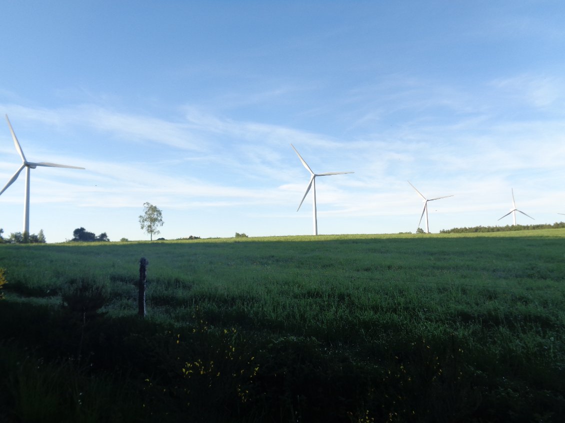 Passage au pied d'une ligne d'éoliennes.