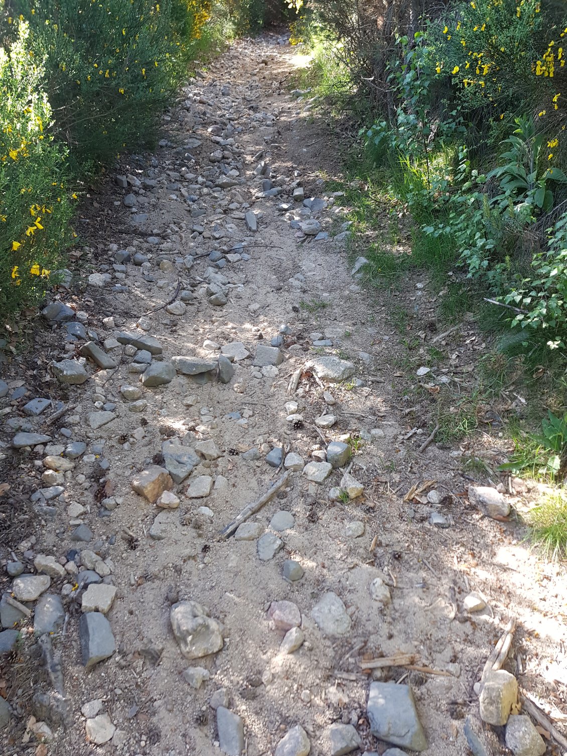 ... et un dernier casse-pattes !