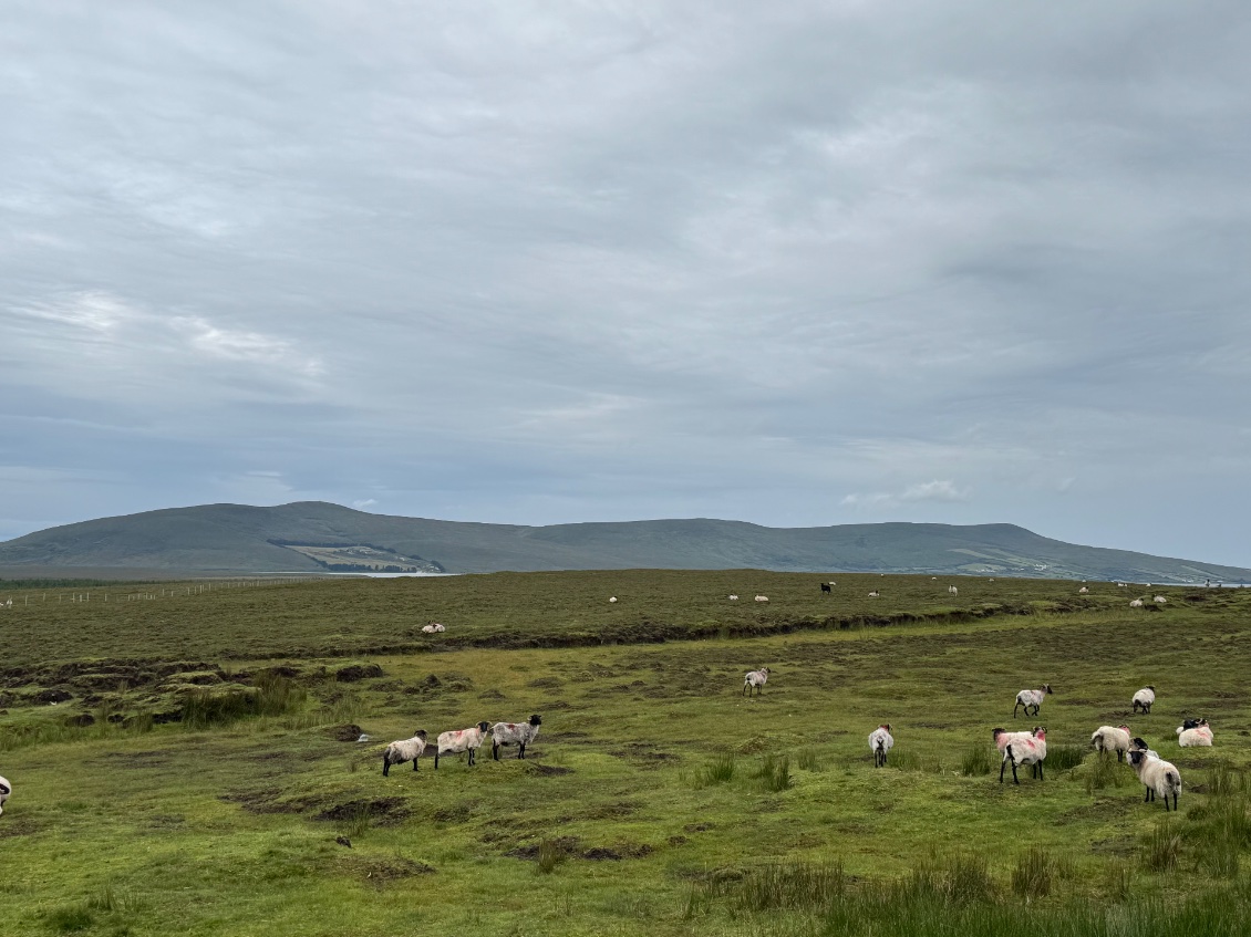 Cnoc na Ceathrun Móire (en gaelic)