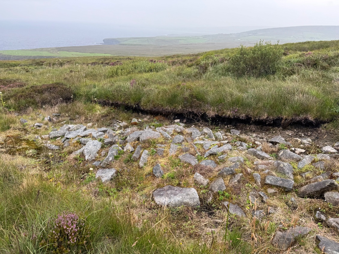 Les murs enfouis sous 1m de tourbe de Céidi Fields.