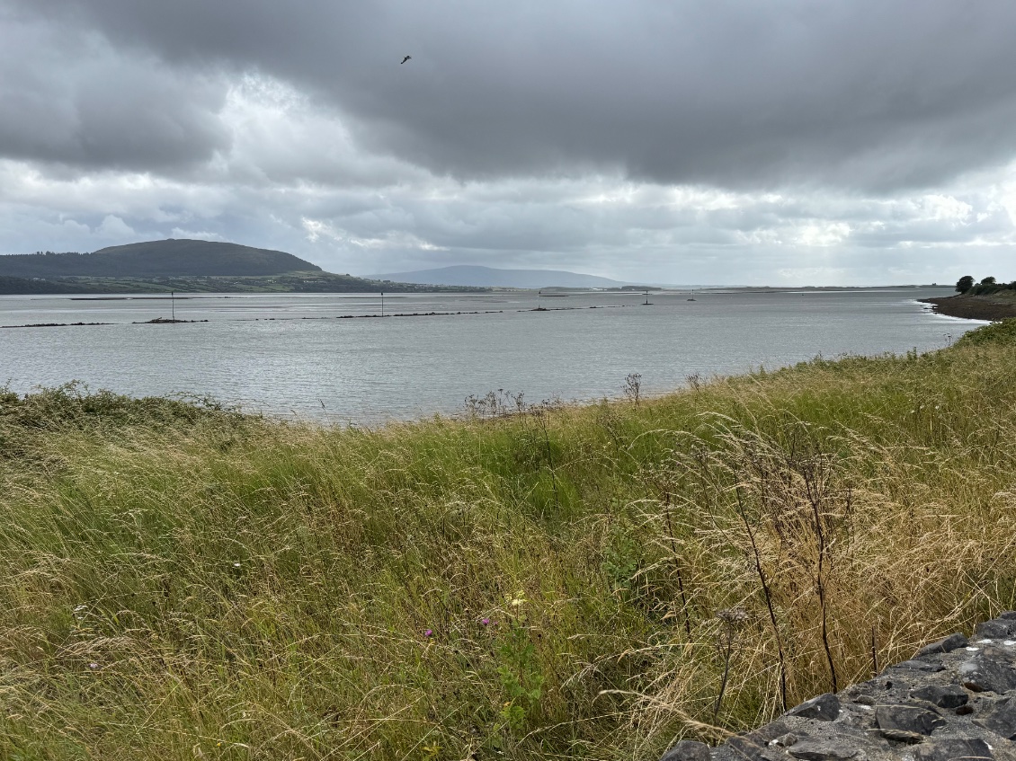 De l’autre coté, Strandhill plage réputée