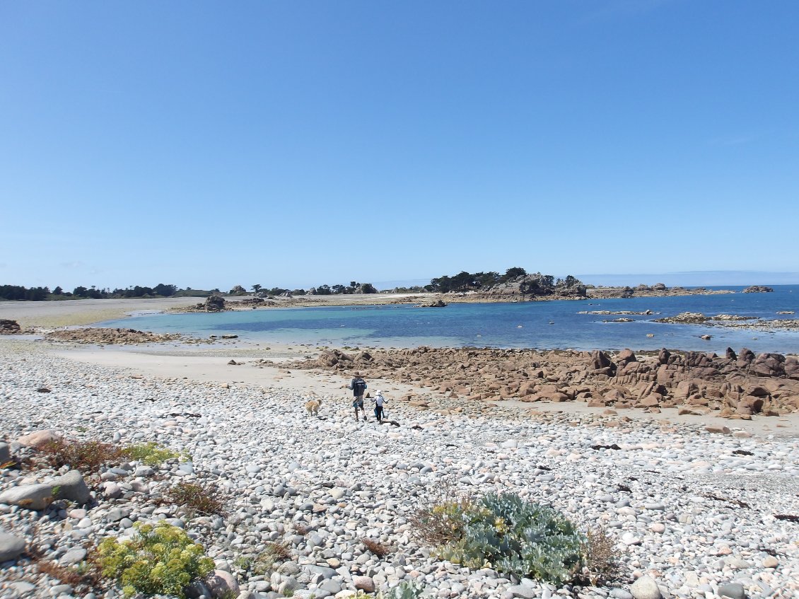 un sillon et un choux marin
