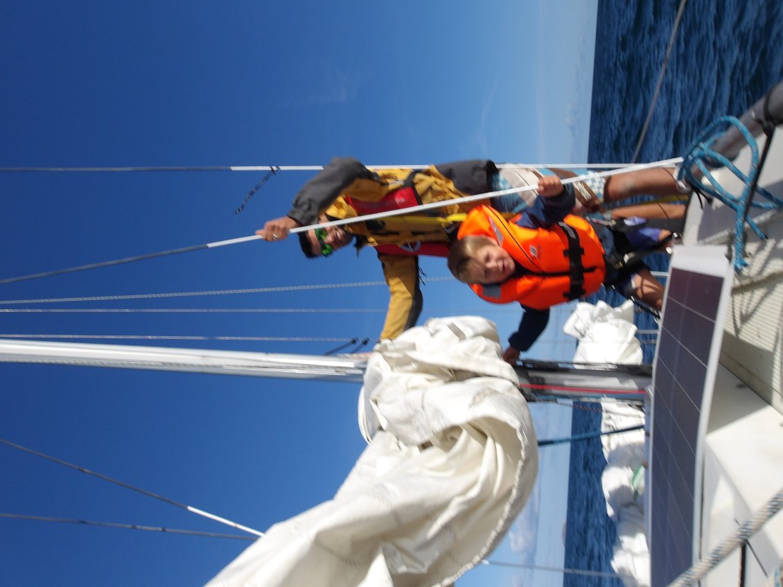 Robin qui adore hisser la grande voile