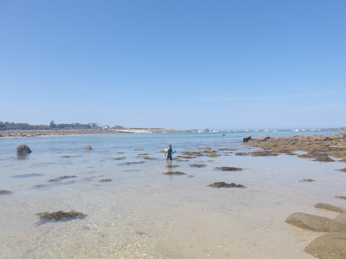 Seul au monde dans cette eau translucide