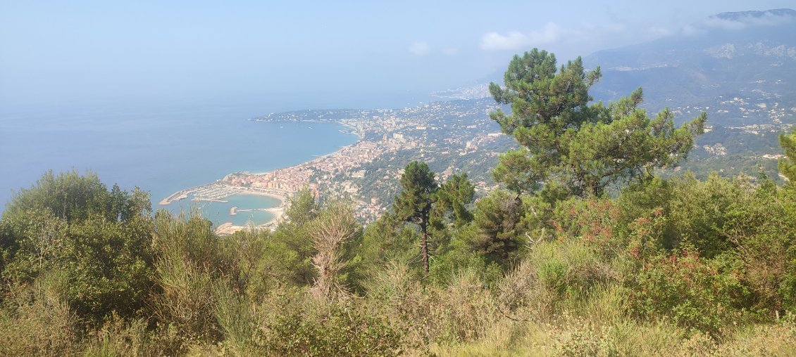 Vue sur Menton et Monaco