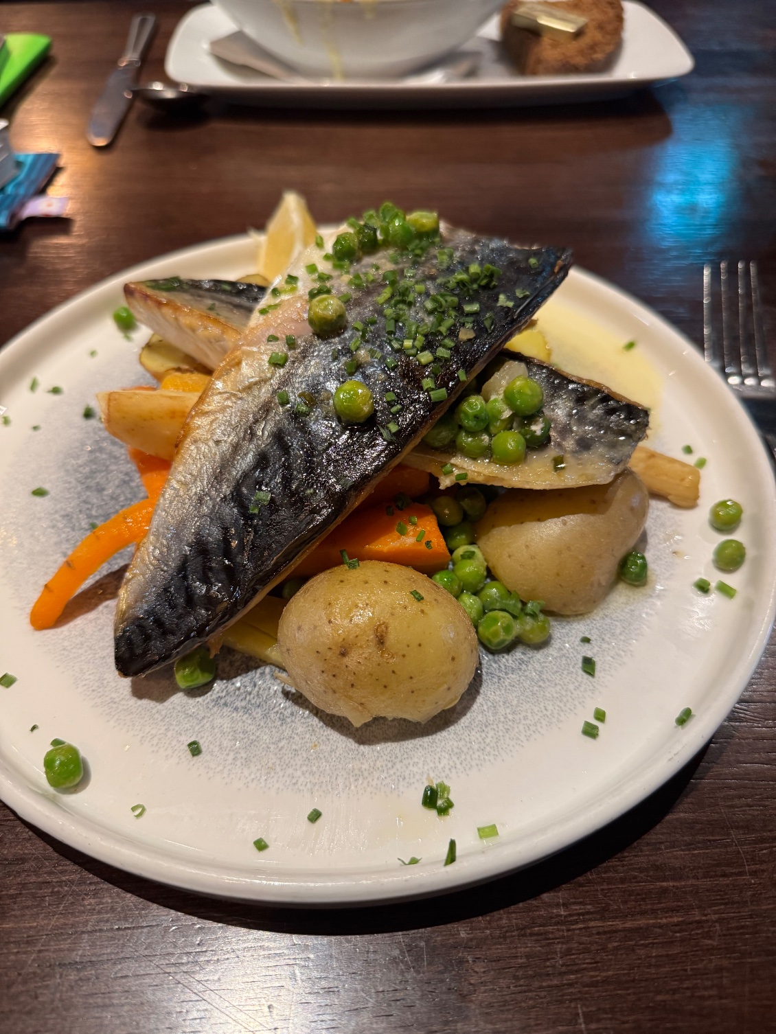 The rusty mackerel 😋