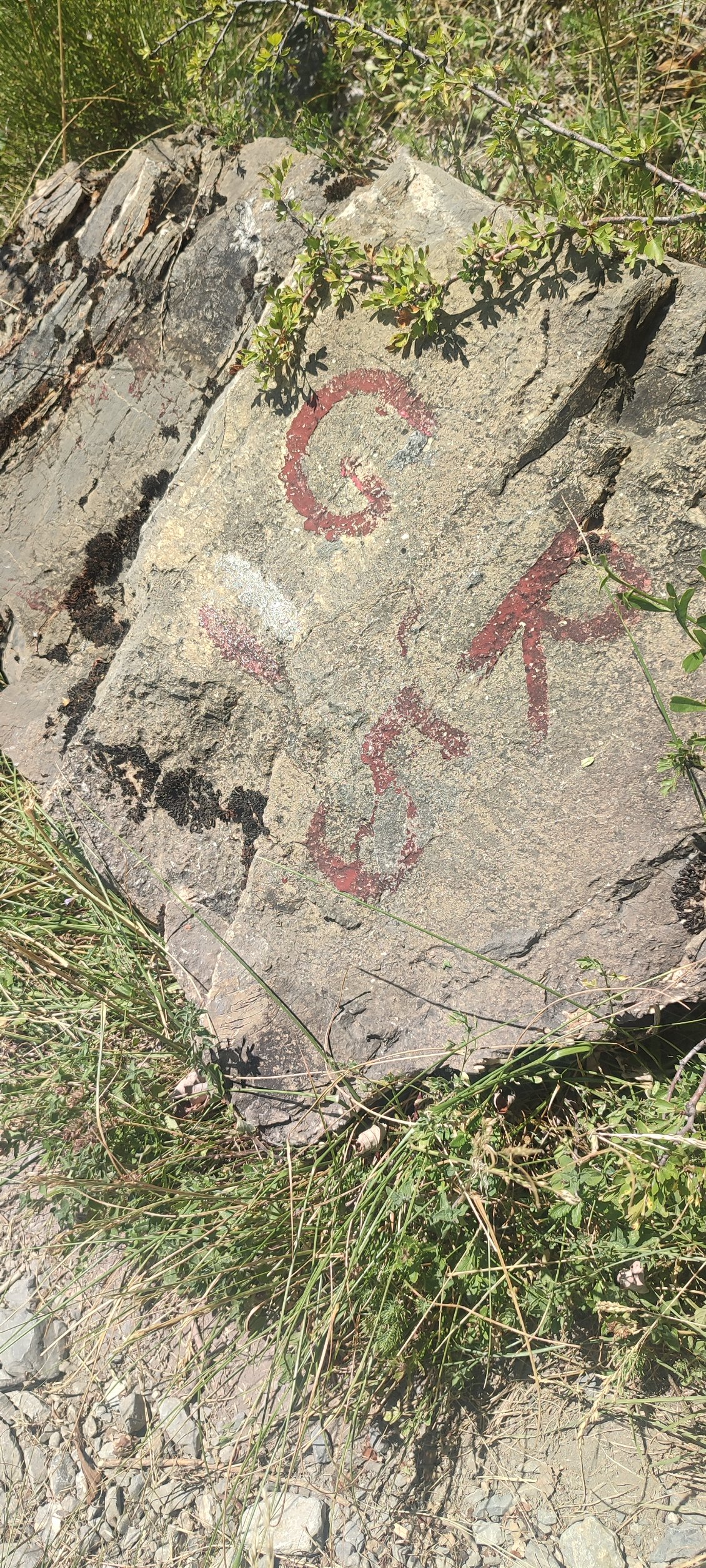 GR5, c'est ici !