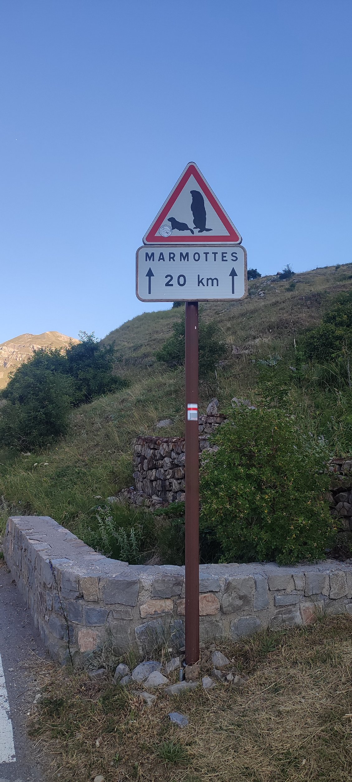 Attetion passage de marmottes