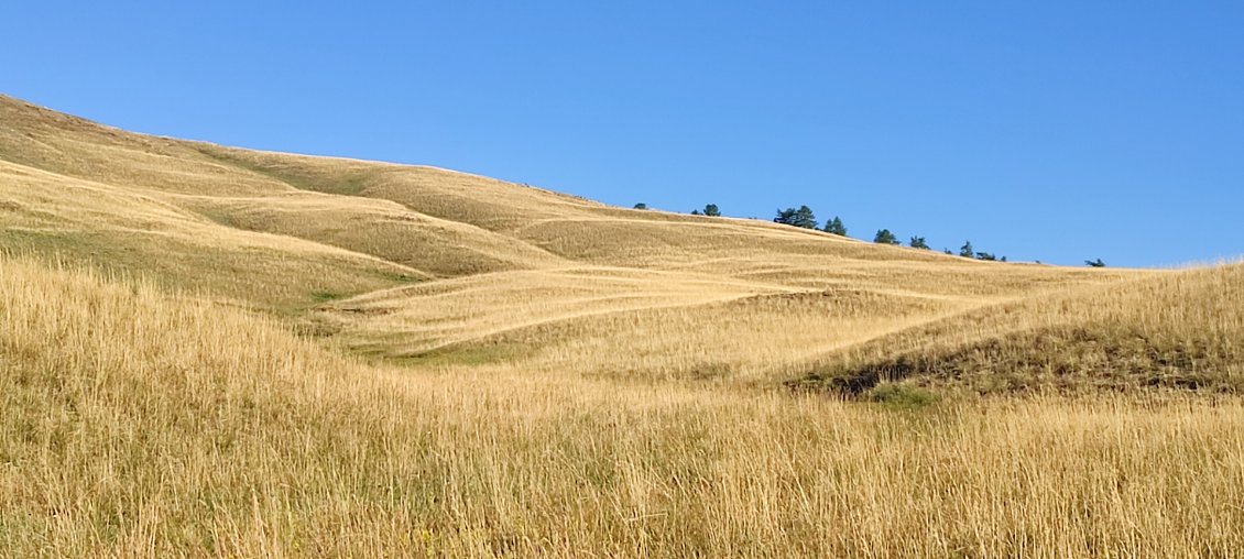 Des allures de steppes